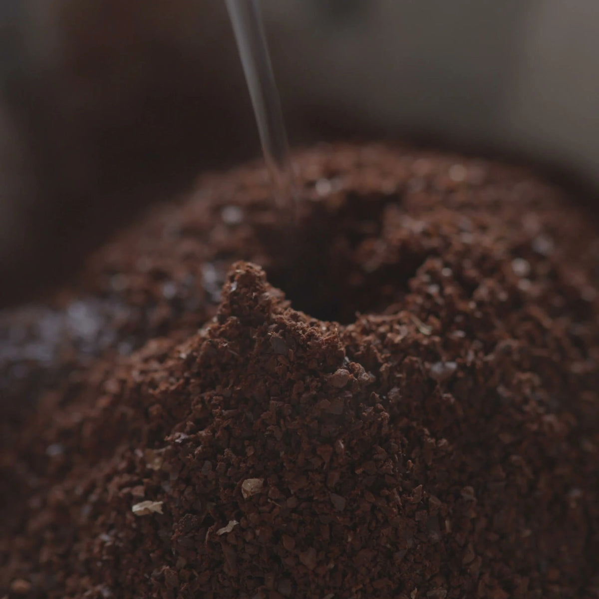 Water blooming ground coffee in a pour-over filter
