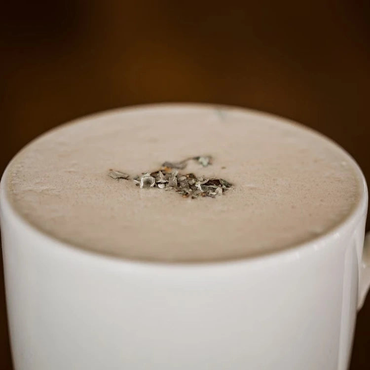 Foamy milk drink in a white ceramic cup — illustrative serving or coffee study
