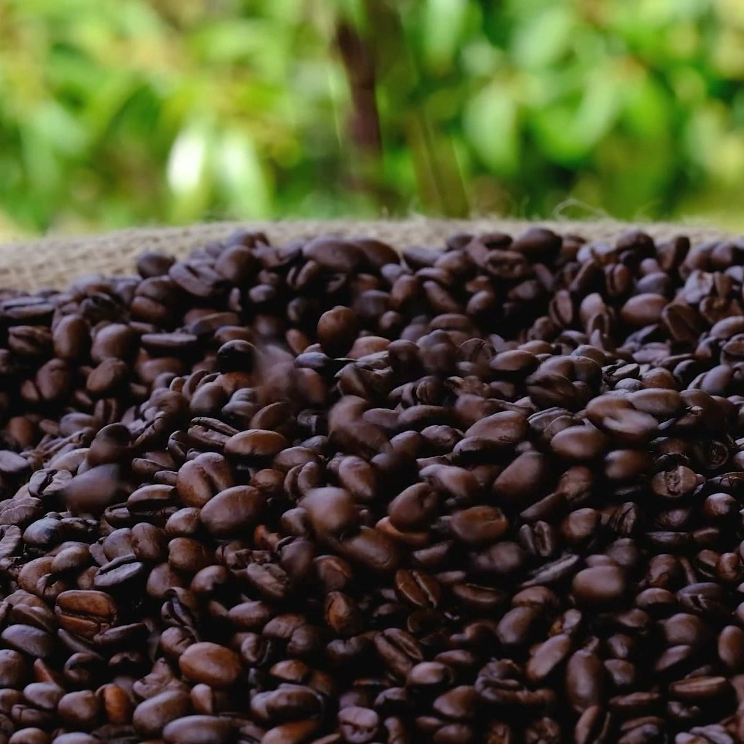 Roasted coffee beans in a woven tray — illustrative serving or coffee study